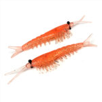 0000- DS Shrimp Angry Orange Group