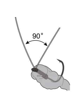 Antenna Hook - Image 4