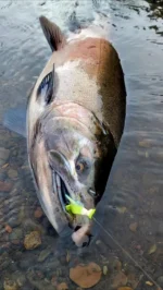 Gamakatsu Fishing Hooks & Outdoor Gear